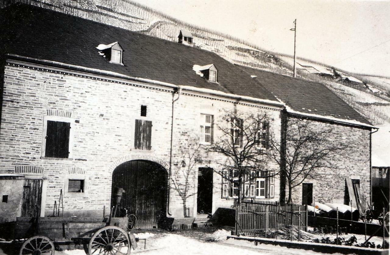 Altes Loerscher Winzerhaus Mehring  Esterno foto